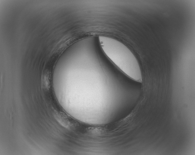 X0000077380074200610201054