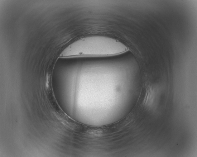 X0000077380075200610201054