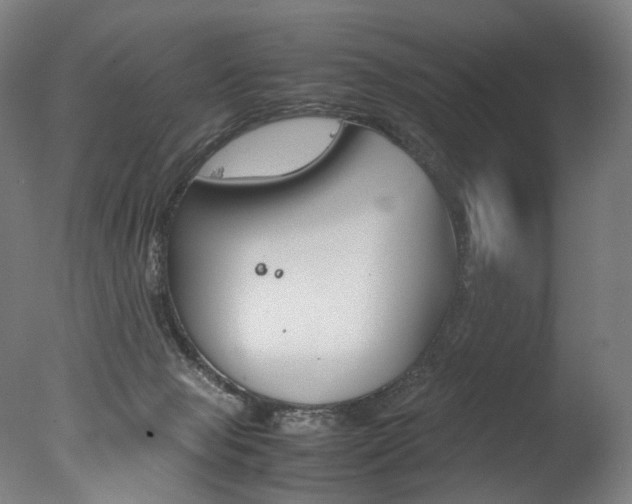 X0000077380077200610201054