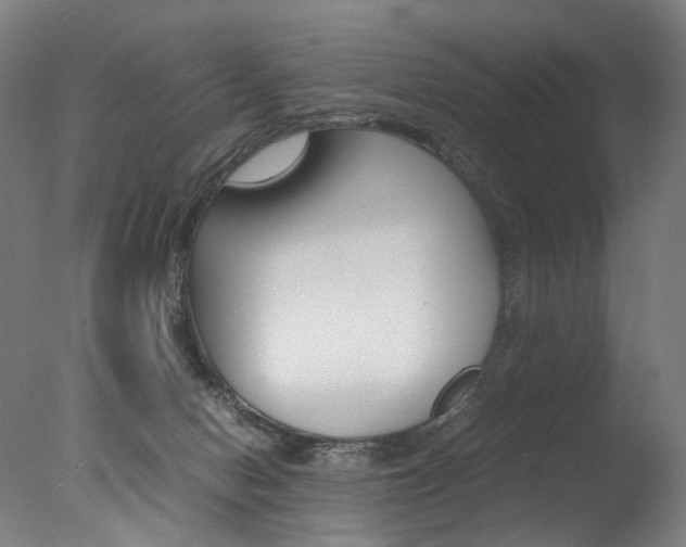X0000077380078200610201054