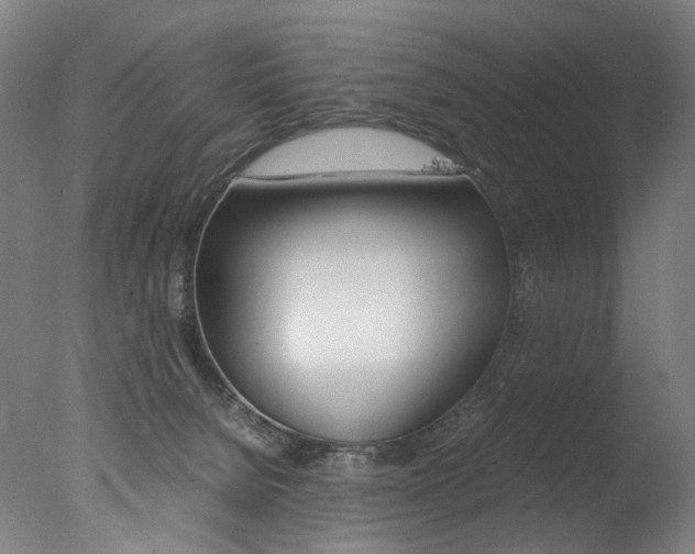 X0000077380080200610201054