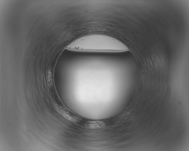 X0000077380087200610201054