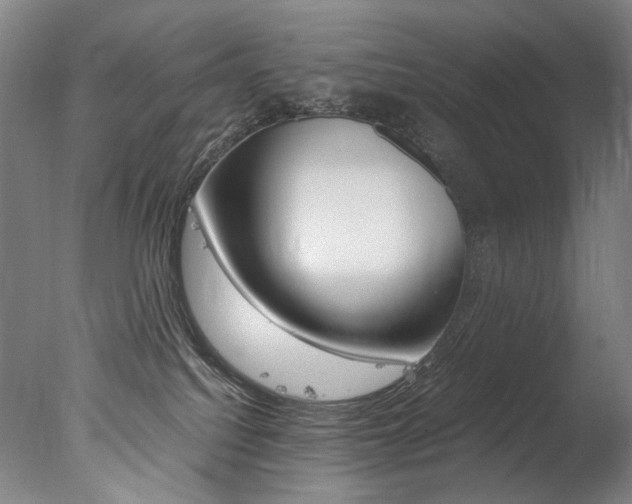 X0000077380088200610201054