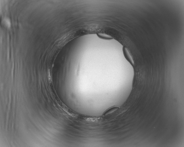 X0000077380089200610201054