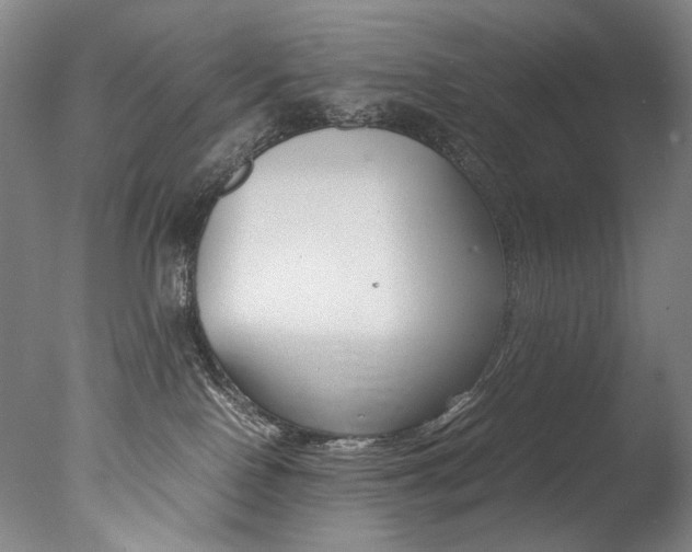 X0000077380090200610201054