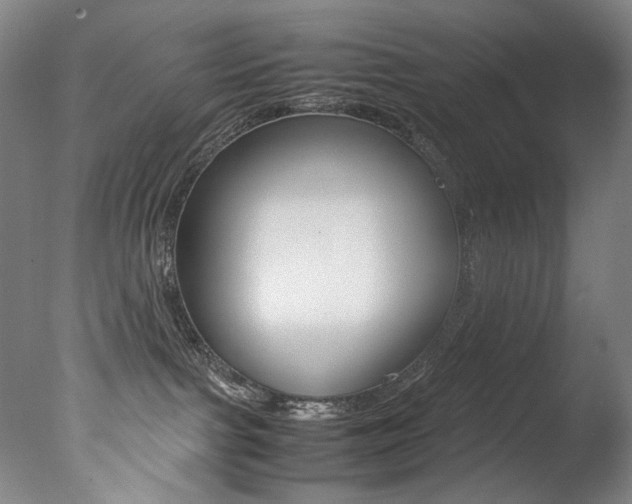 X0000077380091200610201054