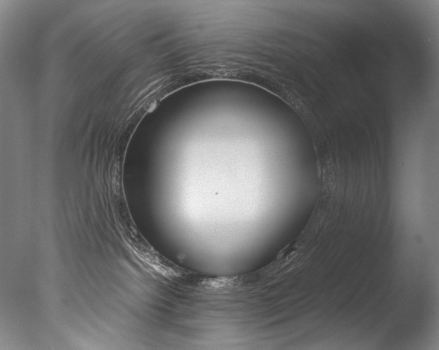 X0000077380092200610201054