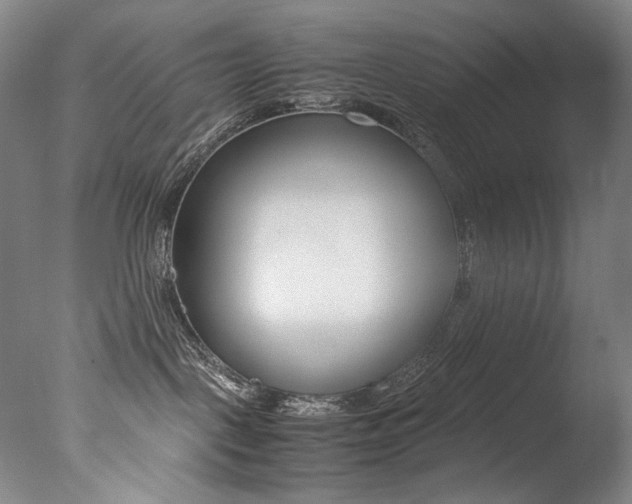 X0000077380093200610201054