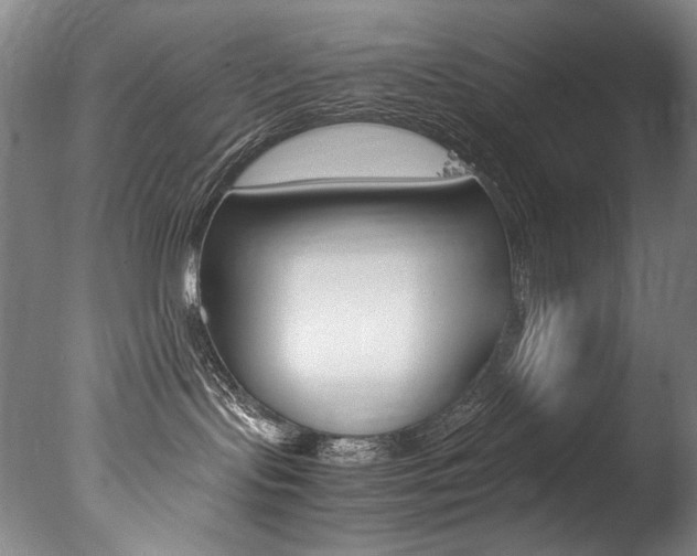 X0000077380095200610201054
