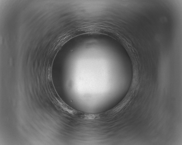X0000077380096200610201054