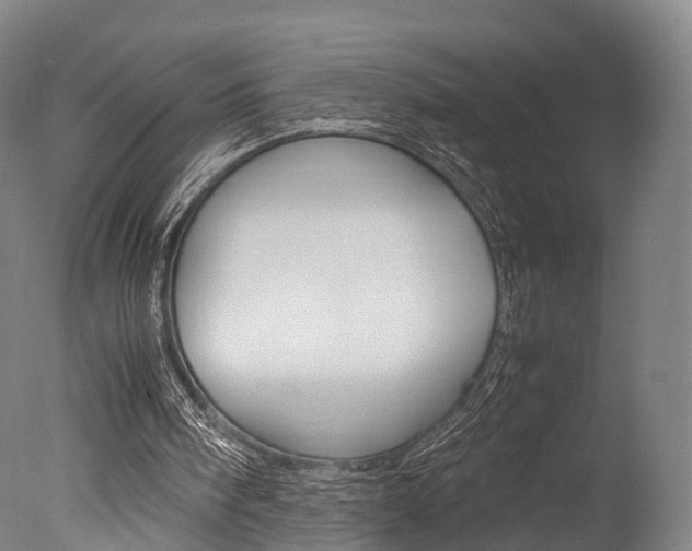 X0000077380098200610201053