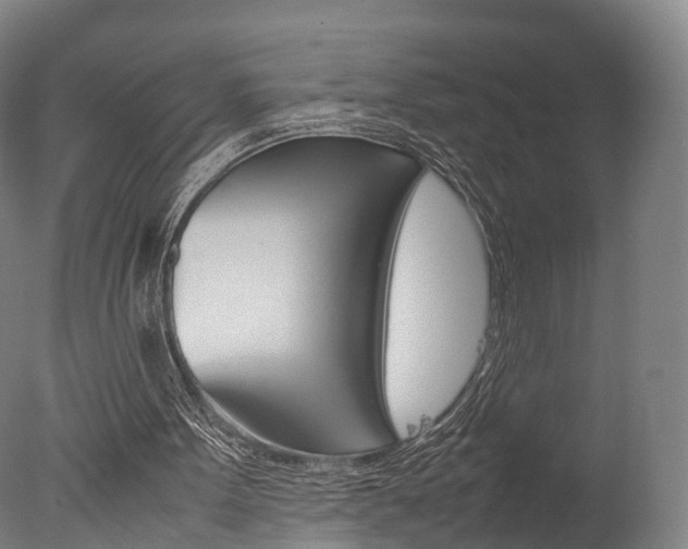 X0000077380099200610201053