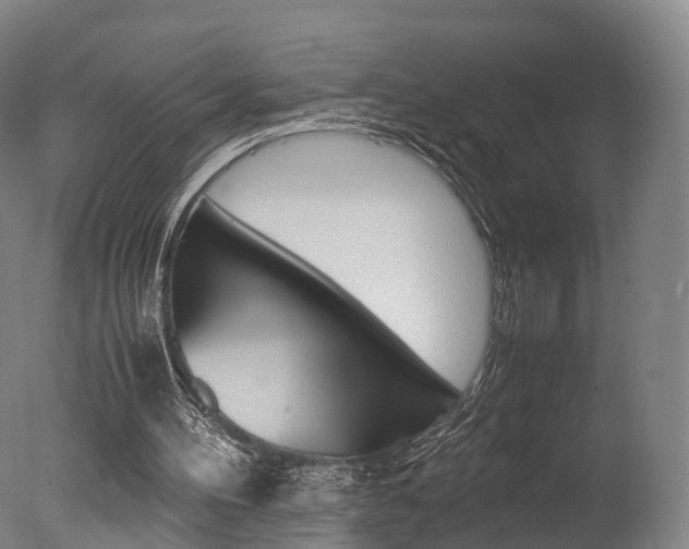 X0000077380100200610201053