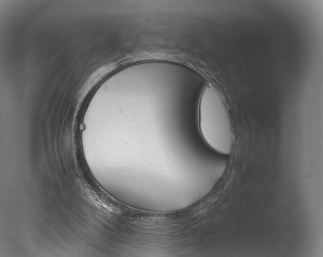 X0000077380104200610201053