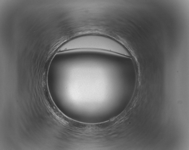X0000077380105200610201053