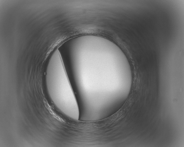 X0000077380106200610201053