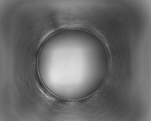 X0000077380107200610201053