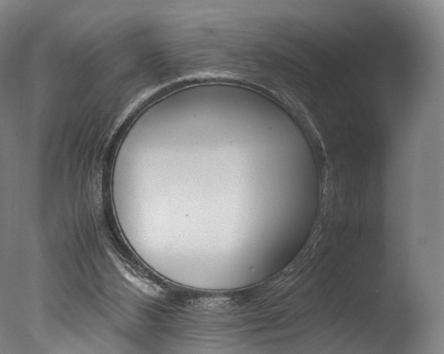 X0000077380108200610201053