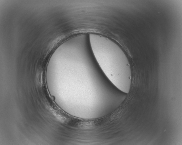 X0000077380110200610201053