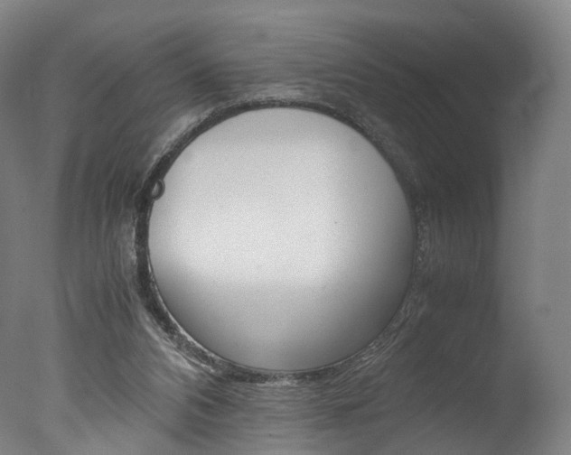 X0000077380112200610201053