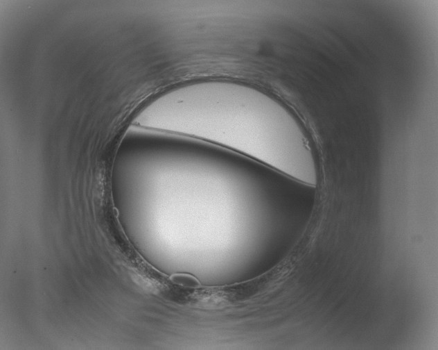 X0000077380113200610201053