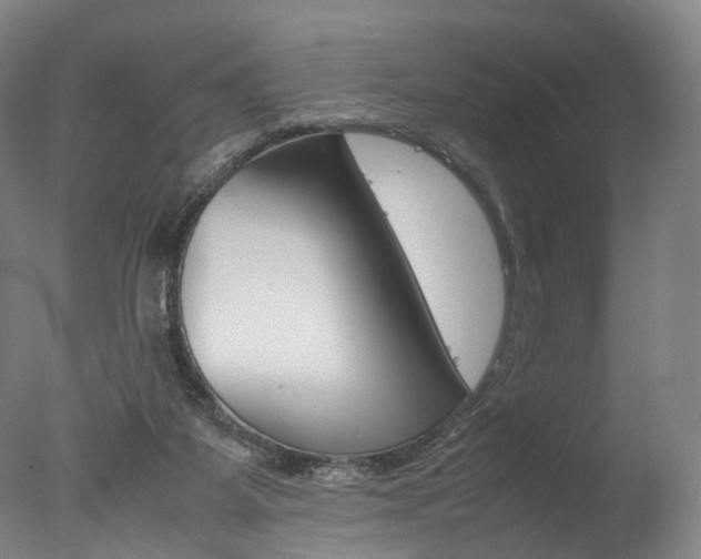 X0000077380115200610201053