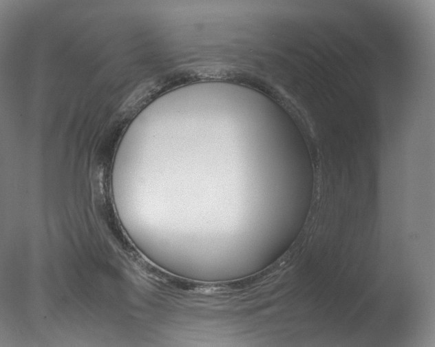 X0000077380117200610201053