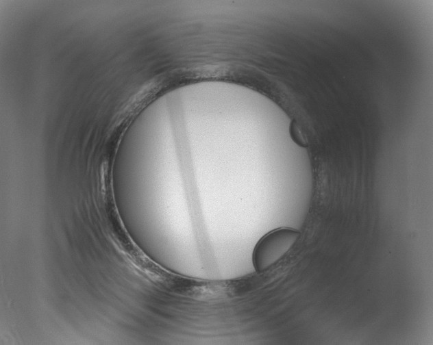 X0000077380118200610201053
