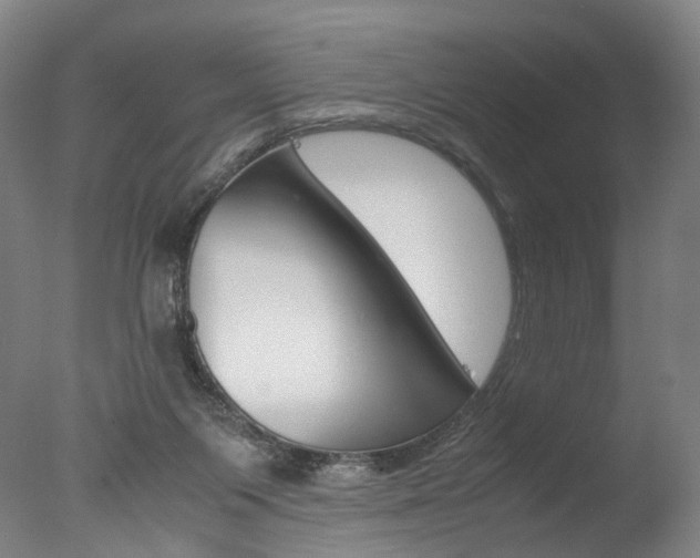 X0000077380119200610201053