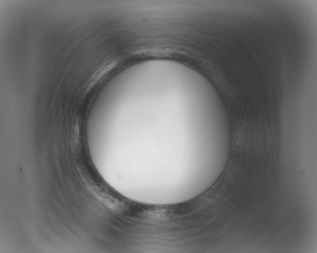 X0000077380120200610201053