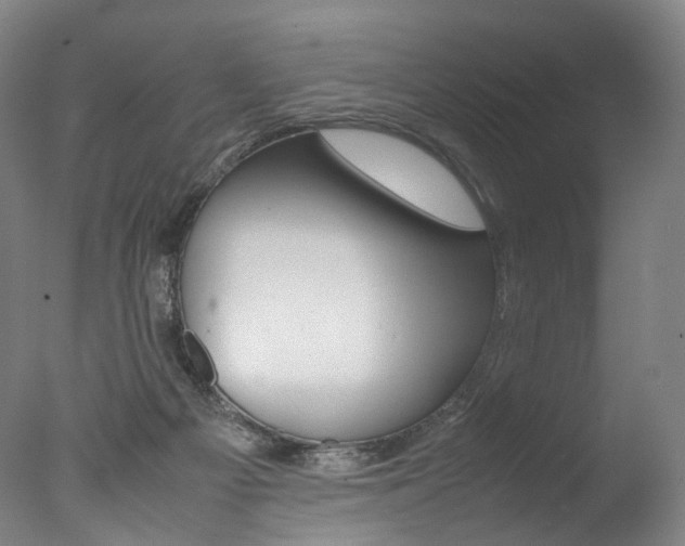X0000077380121200610201053