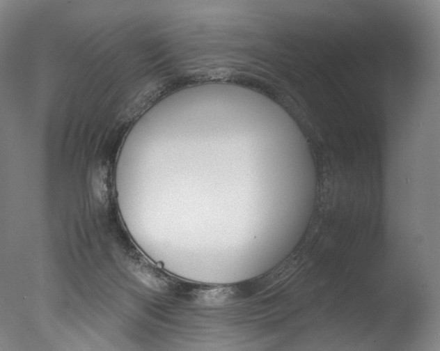 X0000077380122200610201053