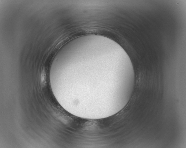X0000077380124200610201053
