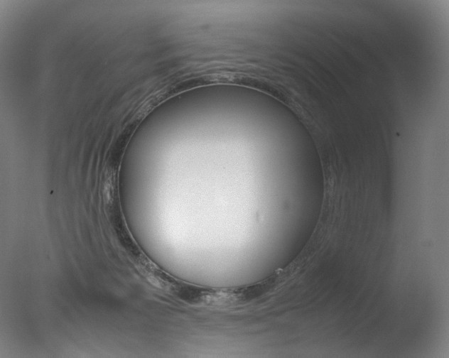 X0000077380125200610201053