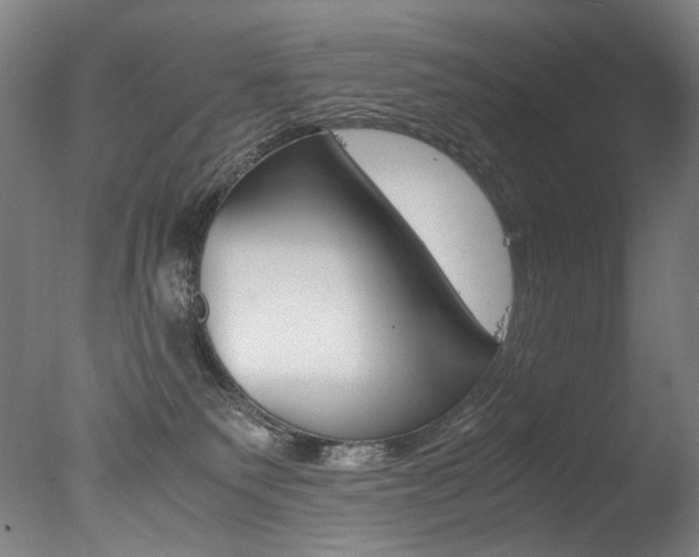 X0000077380135200610201052
