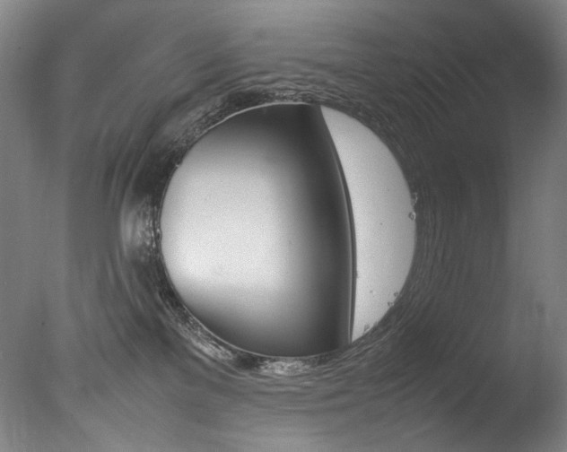 X0000077380137200610201052