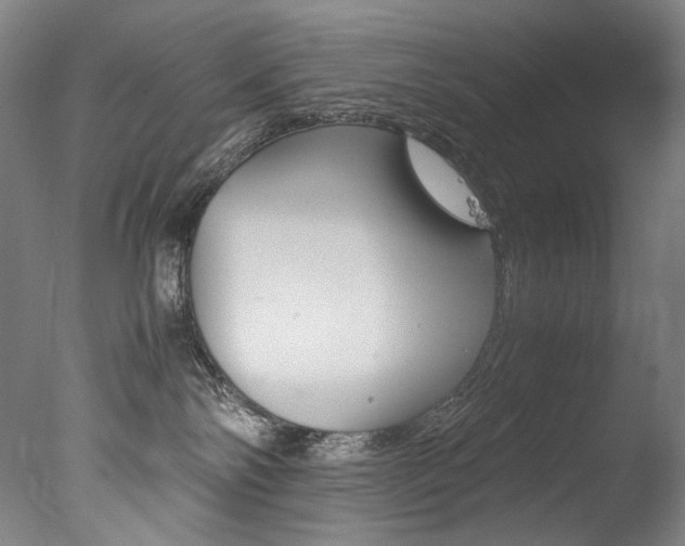 X0000077380138200610201052