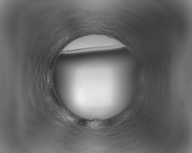 X0000077380139200610201052