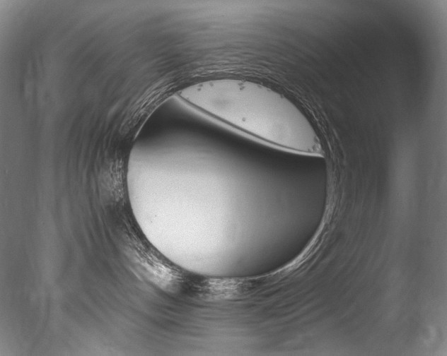 X0000077380144200610201052