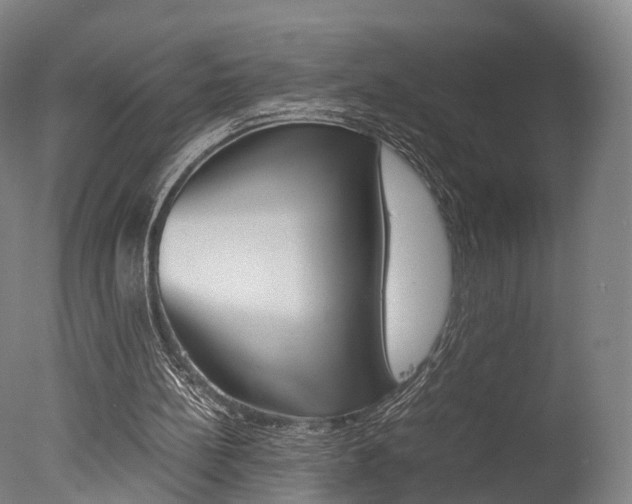 X0000077380148200610201052