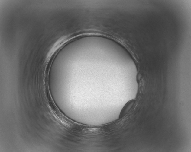 X0000077380151200610201052