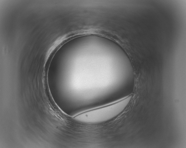 X0000077380152200610201052