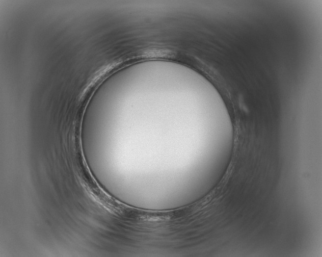 X0000077380155200610201052