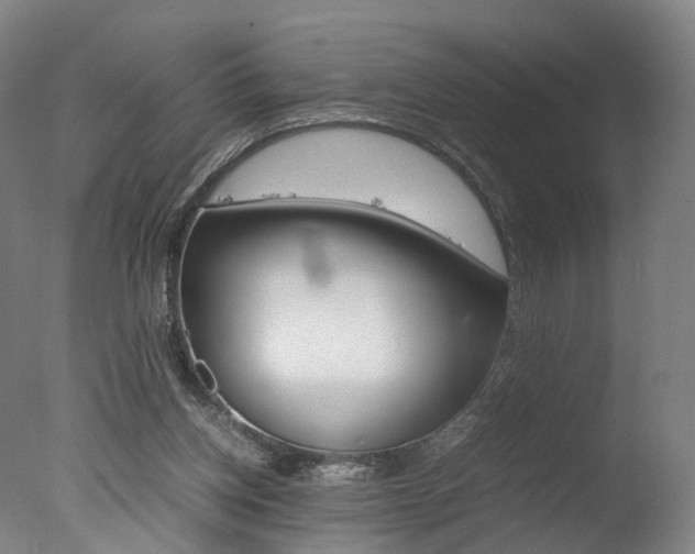 X0000077380158200610201052