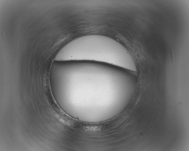X0000077380161200610201052