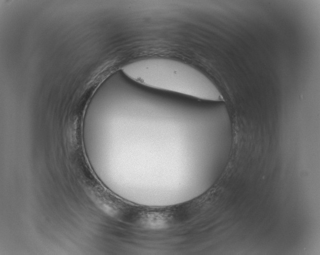 X0000077380163200610201052