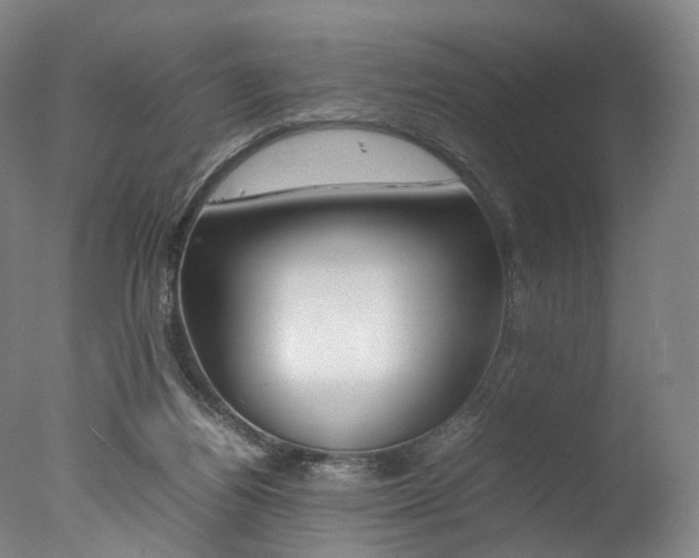 X0000077380164200610201052