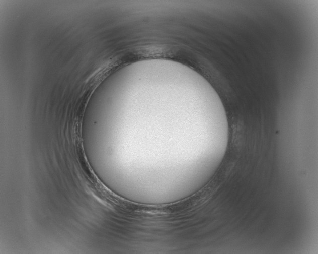 X0000077380165200610201052