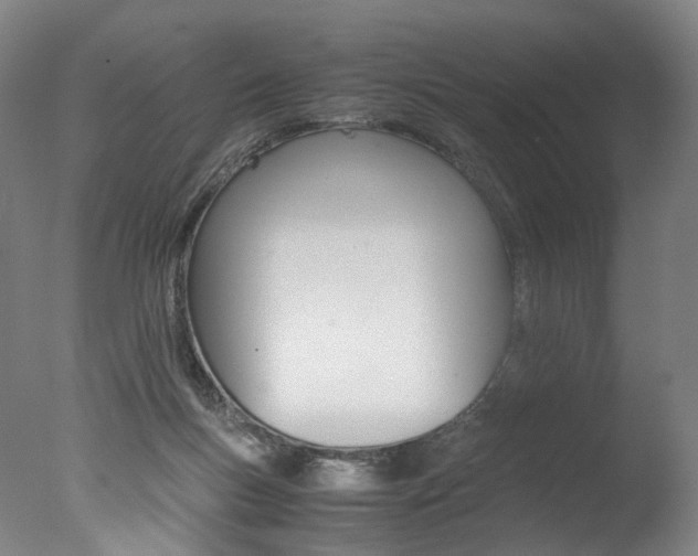 X0000077380167200610201052