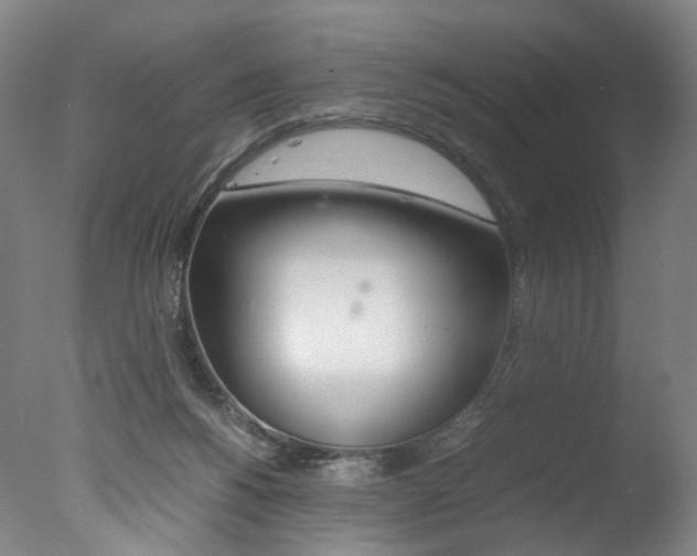 X0000077380168200610201052